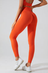 High Waist Active Pants