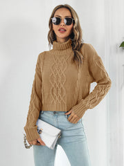 Turtleneck Dropped Shoulder Sweater