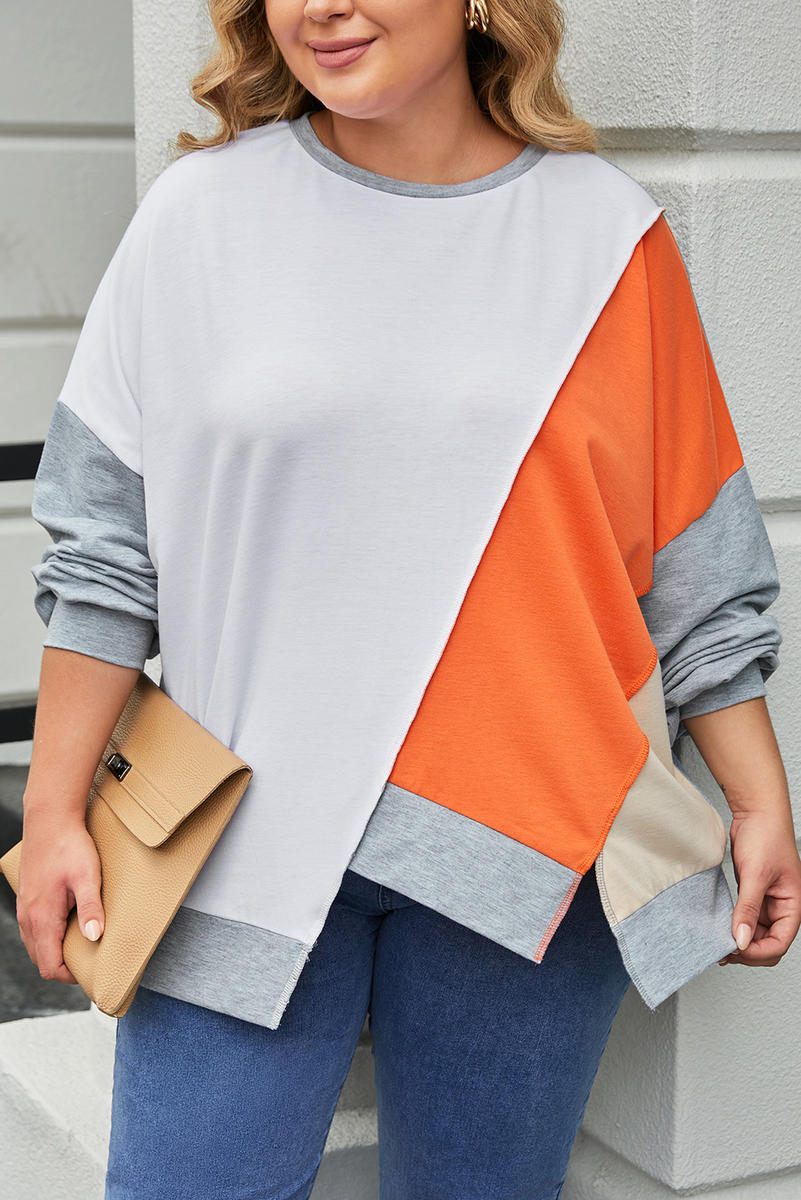 Plus Size Colorblock Seamed Drop Shoulder Sweatshirt