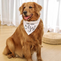 Dog Wedding Bandana