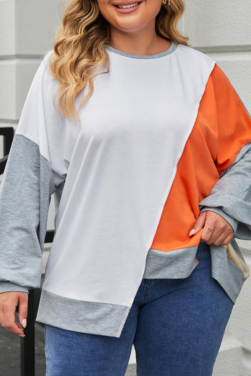 Plus Size Colorblock Seamed Drop Shoulder Sweatshirt